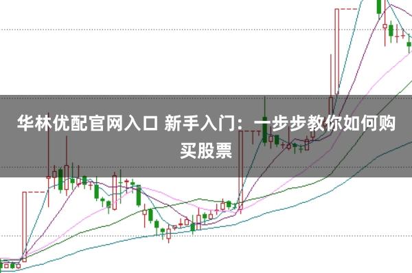 华林优配官网入口 新手入门：一步步教你如何购买股票