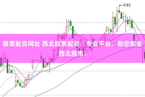 股票配资网址 西北股票配资：专业平台，助您掘金西北股市！