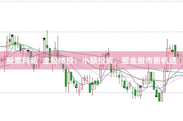 股票网站  金股微投：小额投资，掘金股市新机遇