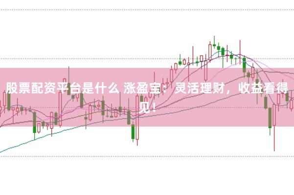 股票配资平台是什么 涨盈宝:灵活理财,收益看得见!